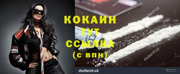 круглые Вязьма