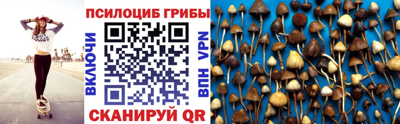 Купить где  Купино  Галлюциногенные грибы Psilocybine cubensis 